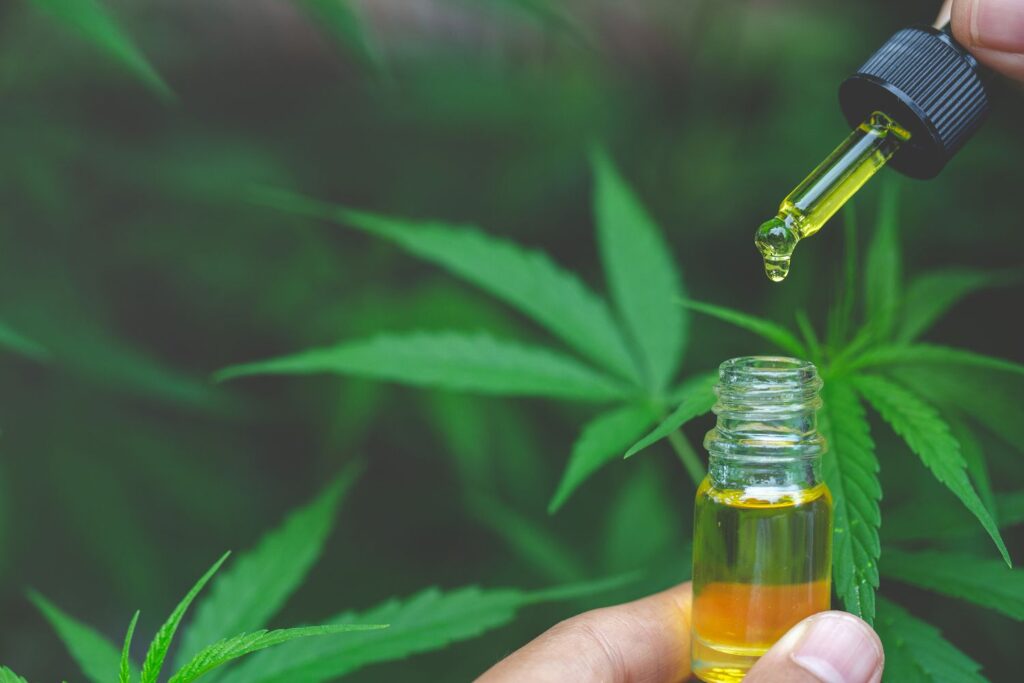 The Role of CBD Oil in Supporting Women’s Health