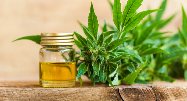 Using CBD Oil for Relaxation After Work A Practical Guide