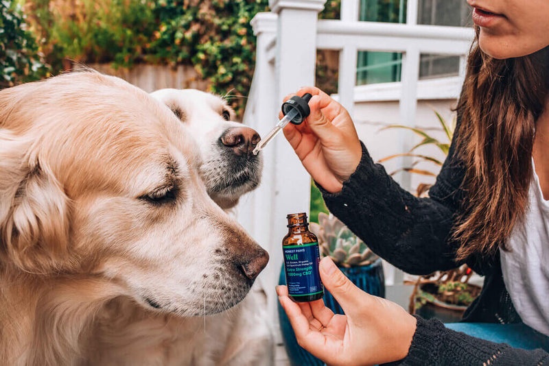 CBD Product for dogs