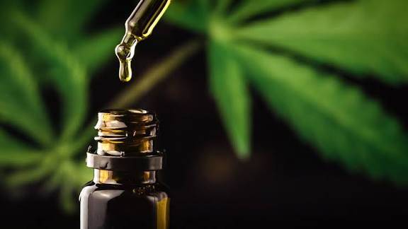 Understanding CBD Oil Labels
